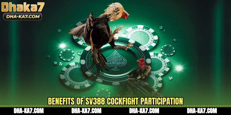 Benefits Of SV388 Cockfight Participation