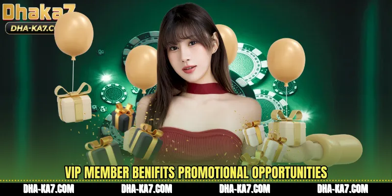 Vip member benifits promotional opportunities